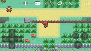 Screenshot von Pokemon Collection 1