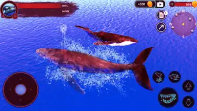 Screenshot von The Humpback Whales 6