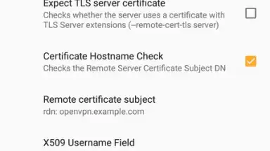 Screenshot von OpenVPN 19