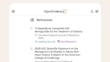 Screenshot von OpenEvidence 1