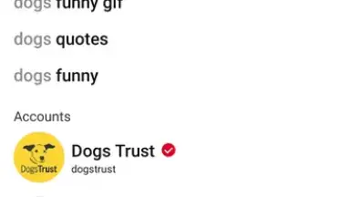 Screenshot von Pinterest 8