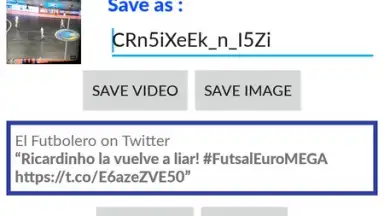 Screenshot von Video Downloader for Twitter 5