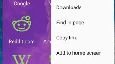 Screenshot von usa web browser 2