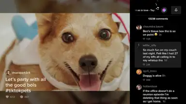 Screenshot von TikTok for Android TV 3