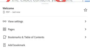 Screenshot von Adobe Acrobat Reader 2