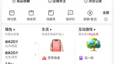 Screenshot von Jingdong 7