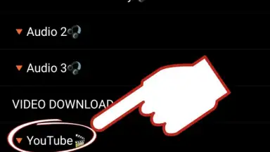 Screenshot von Tube Downloader 5
