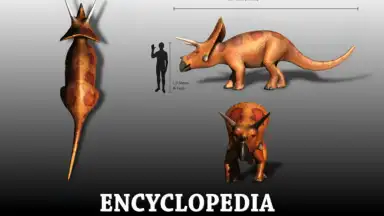 Screenshot von Dinopedia 4