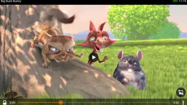 Screenshot von VLC 6