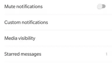 Screenshot von WhatsApp Messenger 21