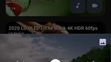 Screenshot von YTDLnis 12