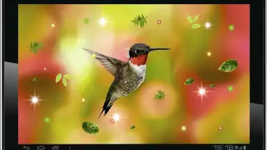 Screenshot von Colibri Spring 3D LWP 4