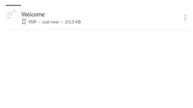 Screenshot von Adobe Acrobat Reader 12