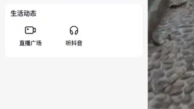 Screenshot von Douyin Search 4