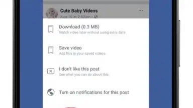 Screenshot von Video Downloader For Facebook 12