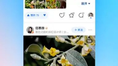 Screenshot von Zhihu 7