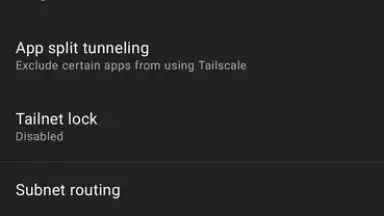 Screenshot von Tailscale 10