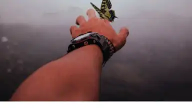 Screenshot von vimage 6