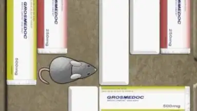 Screenshot von Mouse Trap 2