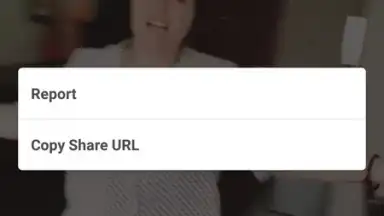 Screenshot von InstaSniper 2