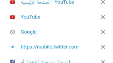 Screenshot von B Browser 7