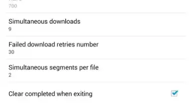 Screenshot von Advanced Downloader for Mega 3
