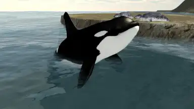 Screenshot von Orca Simulator 6