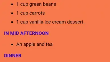 Screenshot von Express Diet 4