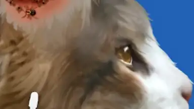 Screenshot von Cat ASMR: Salon Makeover 6