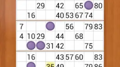 Screenshot von Loto Online 1