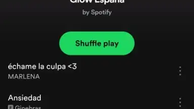 Screenshot von Spotify Lite 10