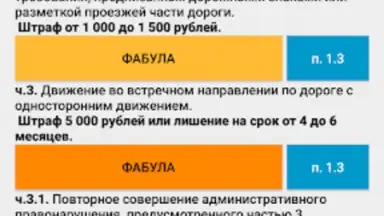 Screenshot von Памятка сотруднику ДПС ГИБДД 4