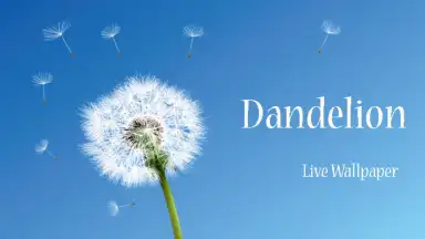 Screenshot von Dandelion 4