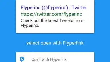 Screenshot von Flyperlink 8