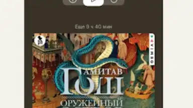 Screenshot von Bookmate. Books & Audiobooks 10