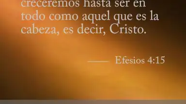 Screenshot von Biblia Diaria 2