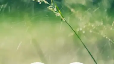 Screenshot von Meditation Music Metapps 6
