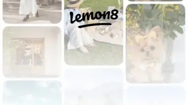 Screenshot von Lemon8 7