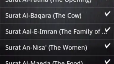 Screenshot von BanglaQuran 3
