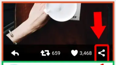 Screenshot von Video Downloader for Twitter 7