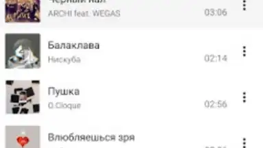 Screenshot von BiRD - Музыка из ВК 1