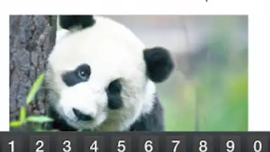 Screenshot von Microsoft Office Mobile 1