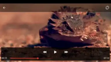 Screenshot von Youtube Play&Download 5