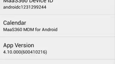 Screenshot von MaaS360 MDM for Android 4