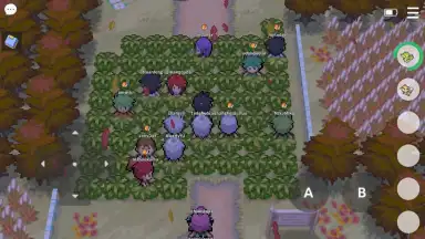 Screenshot von PokeMMO 3