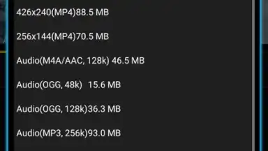 Screenshot von TubeMate YouTube Downloader 17