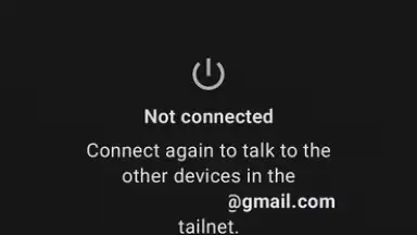 Screenshot von Tailscale 9