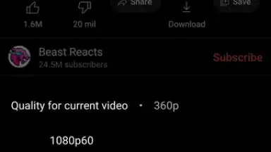 Screenshot von ReVanced Extended 4