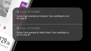 Screenshot von Curve 8