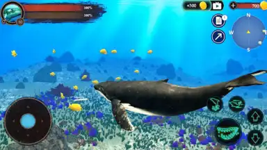 Screenshot von The Humpback Whales 24